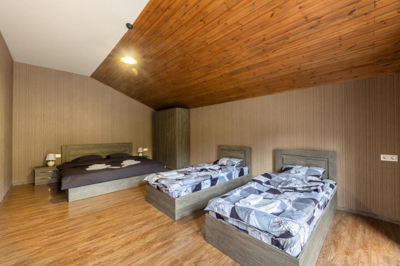 - Didveli Residence Lux Apartments - Bakuriani Ngoại thất bức ảnh