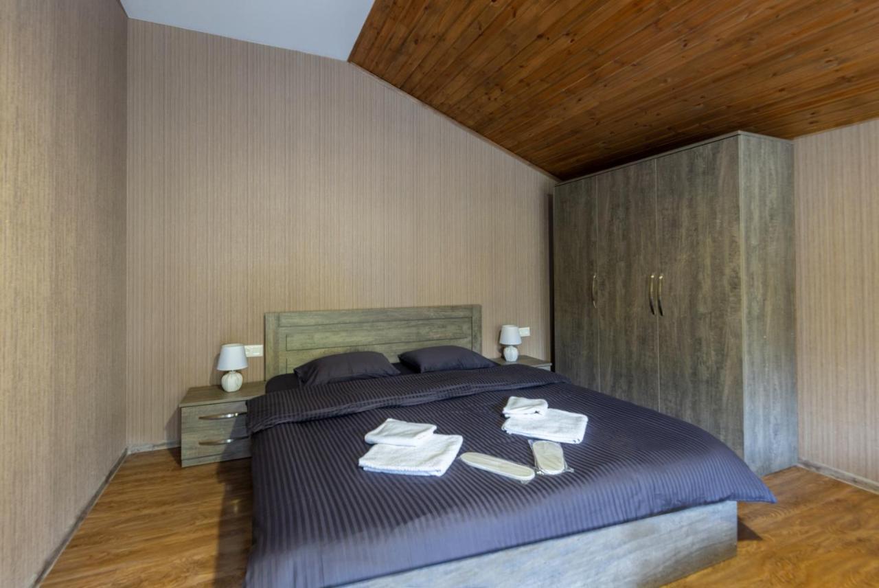 - Didveli Residence Lux Apartments - Bakuriani Ngoại thất bức ảnh