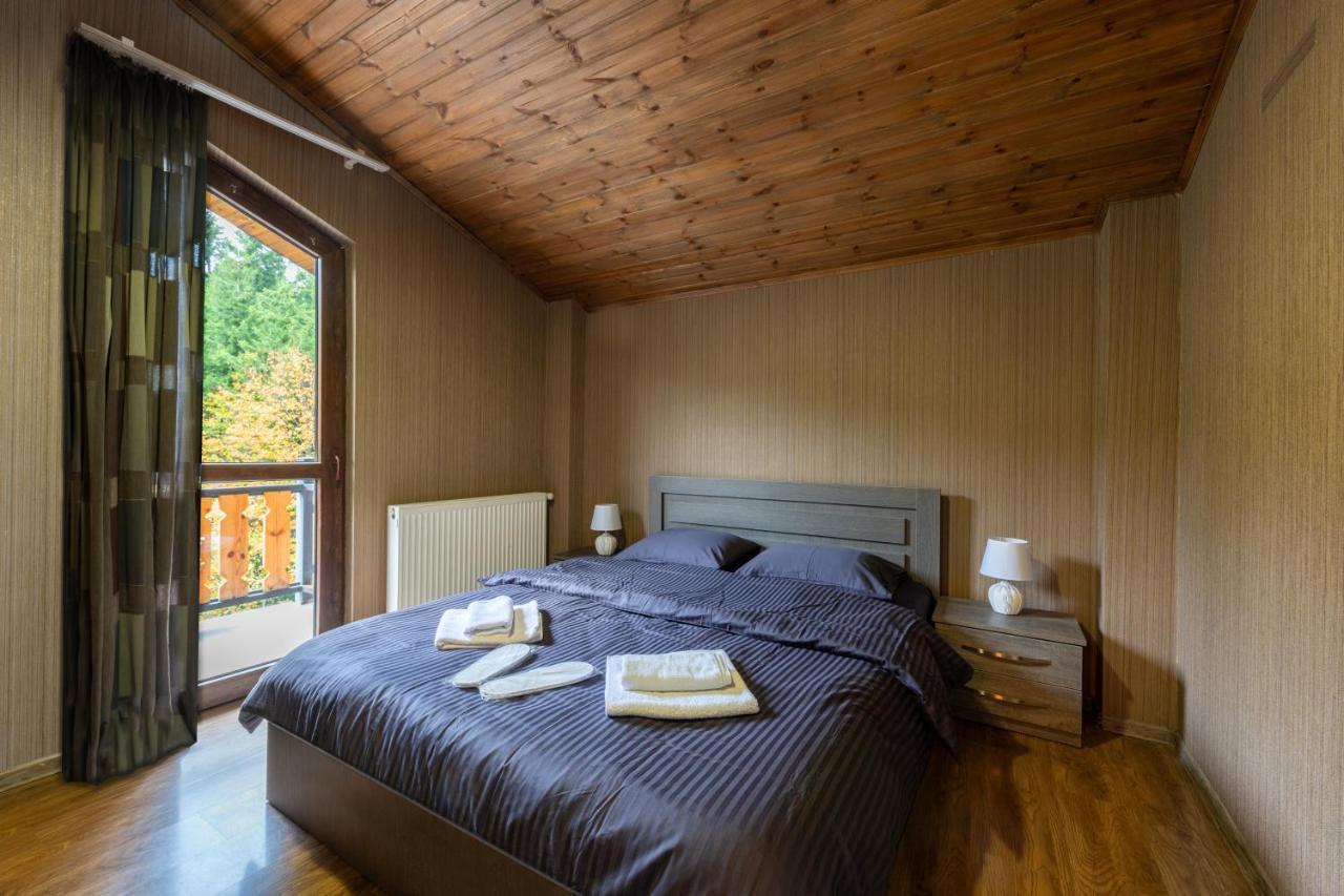 - Didveli Residence Lux Apartments - Bakuriani Ngoại thất bức ảnh